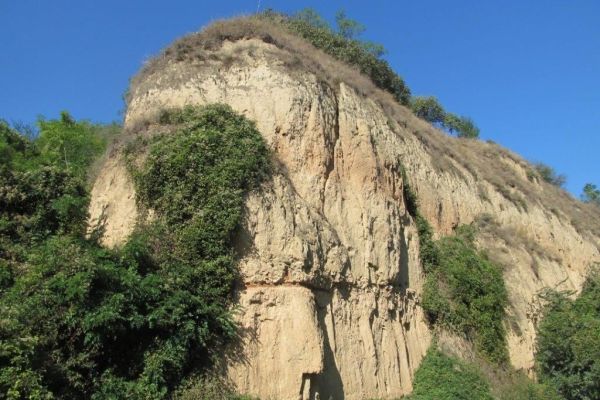 Radni dan za prirodu - SP Lesni profil kod Starog Slankamena