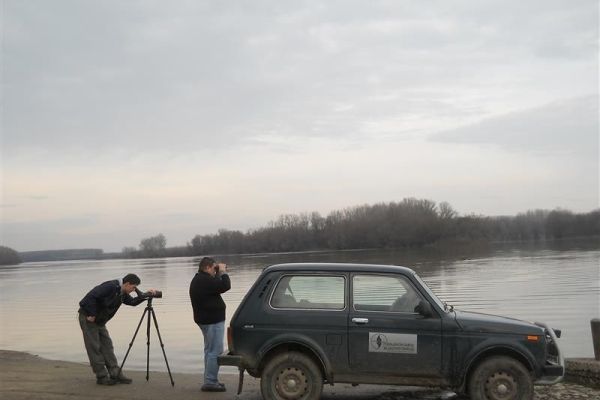 I zima je vreme kada ornitolozi broje ptice