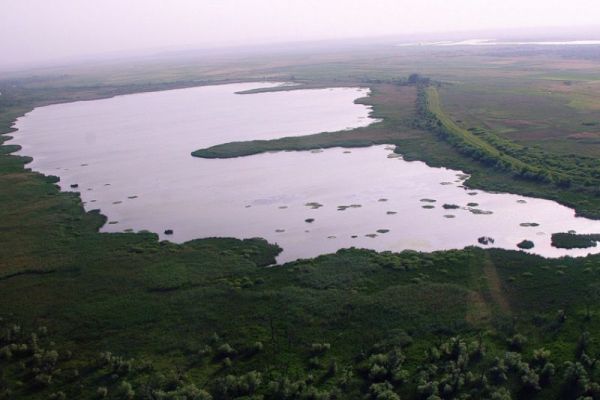 SRP "Carska bara"