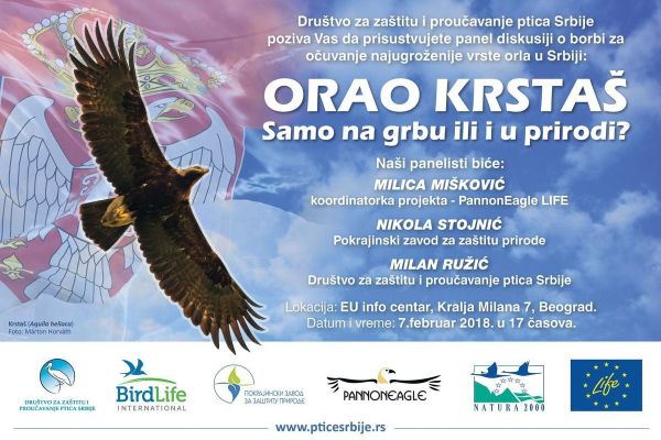 Orao krstaš – samo na grbu ili i u prirodi?