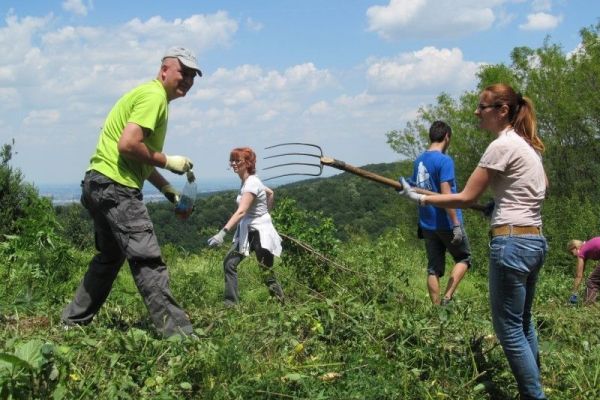 Održan okrugli sto pod nazivom „KAKO ZAŠTITITI  VRSTE I STANIŠNE TIPOVE U VOJVODINI“