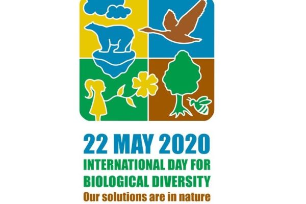 22. 05. Dan biodiverziteta