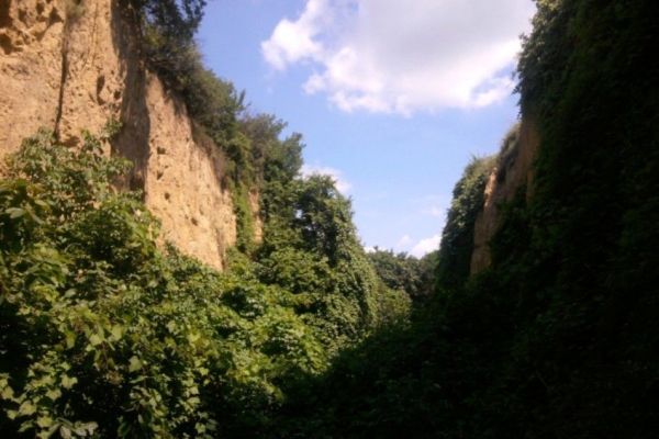 Novoproglašeni Predeo izuzetnih odlika „Ade i odseci kod Slankamena“