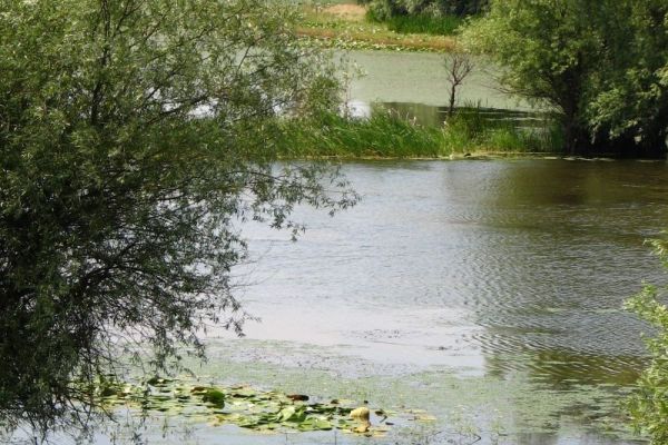 Proglаšenje SRP „Ritovi donjeg Potisjа“