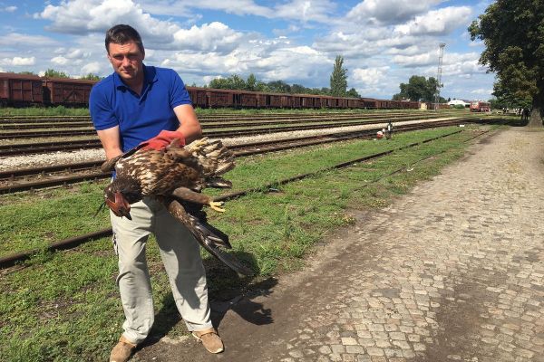 ORAO ZAUSTAVIO PUTNIČKI VOZ