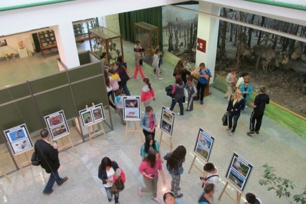 Otvorena  XI Međunarodna izložba fotografija pod nazivom: „Sve dobre stvari su divlje i slobodne“