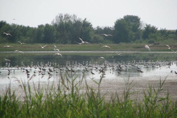 SRP "Slano Kopovo"