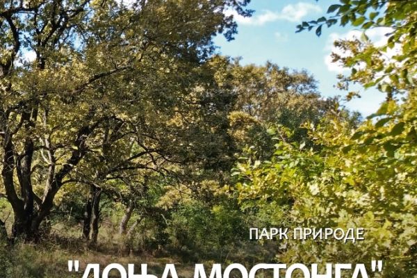Javni uvid i javna rasprava u nacrt pokrajinske skupštinske odluke o zaštiti PP „Donja Mostonga“ i studiju zaštite PP „Donja Mostonga“