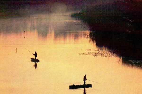 IZLOŽBA - FOTO KOLONIJA - ZASAVICA