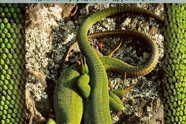 Poziv: Godišnjak „Gea“  i dokumentarno - ekološki film