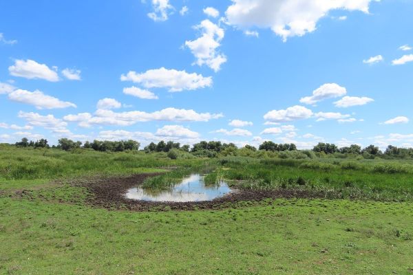 NAJAVA DOGAĐAJA – RADNI DAN ZA PRIRODU U SRP „OBEDSKA BARA“