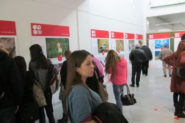 OTVORENA IZLOŽBA “SAČUVAJMO ČUDESNE VRSTE”