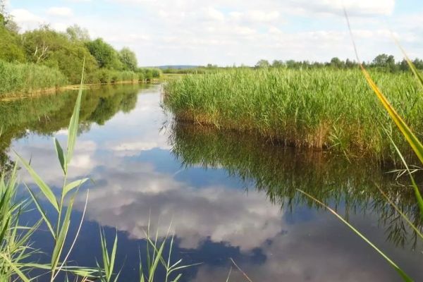 SVETSKI DAN MOČVARNIH STANIŠTA (2.2.2024.)