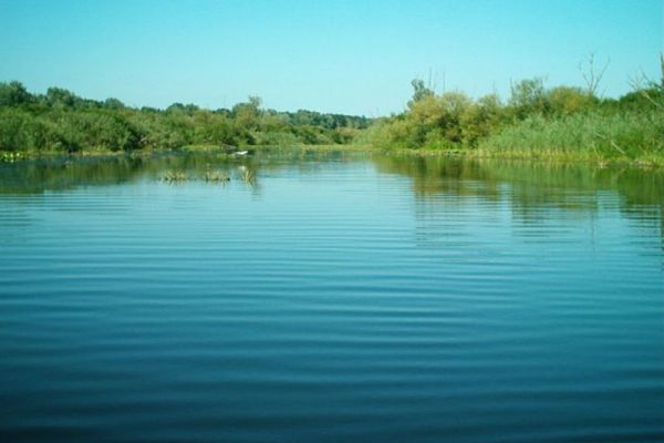 SRP "Obedska bara"