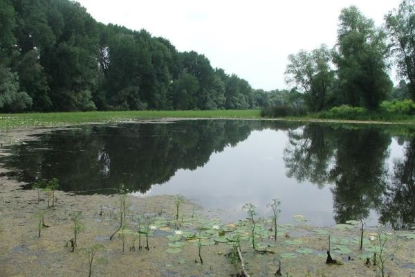 POZIV - EKONOMSKO VREDNOVANJE EKOSISTEMSKIH USLUGA SRP „KOVILJSKO-PETROVARADINSKI RIT“