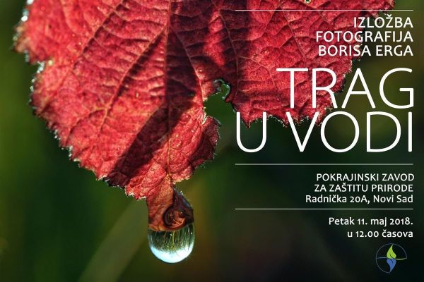 FOTO IZLOŽBA "TRAG U VODI" BORIS ERG I IZLOŽBA MAKETA "BRODOVI" MIŠI MOLNAR