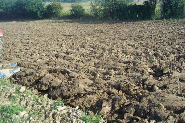 Problemi vezani za povraćaj i zamenu oduzetog zemlјišta u postupku restitucije u zaštićenim prirodnim dobrima u Srbiji
