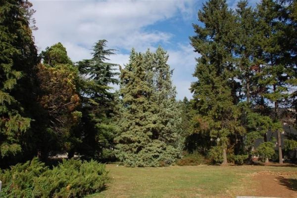 DONETA ODLUKA O PROGLAŠENJU SPOMENIKA PRIRODE “PARK INSTITUTA U SREMSKOJ KAMENICI”