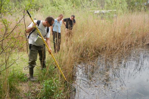 Identifikacija glavnih ugrožavajućih faktora limnofilnih vrsta riba u Dunavskom slivu