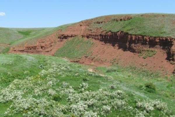 Održan Sedmi međunarodni stepski forum u organizaciji Ruskog geografskog društva