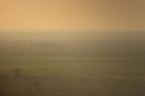 Početak šepurenja velike droplje