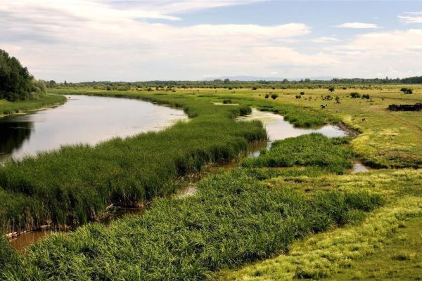 Zajedničko saopštenje za medije od strane „Riverwatch“ i „EuroNatur“