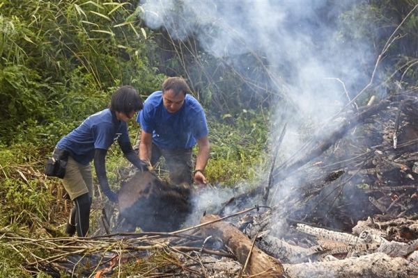 Aktivno učešće Zavoda u realizaciji volonterskog kampa na Obedskoj bari