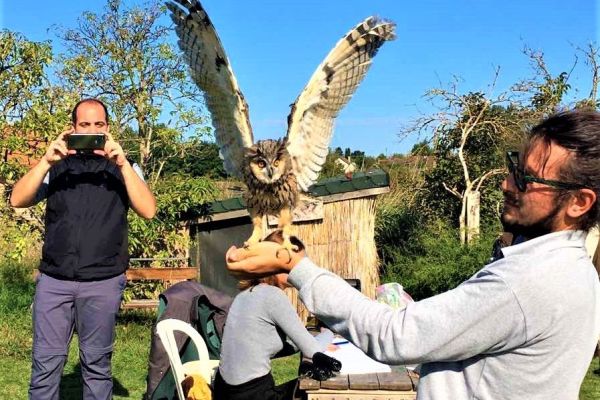 2 vetruške i 4 male ušare uspešno vraćene na njihovo prirodno stanište