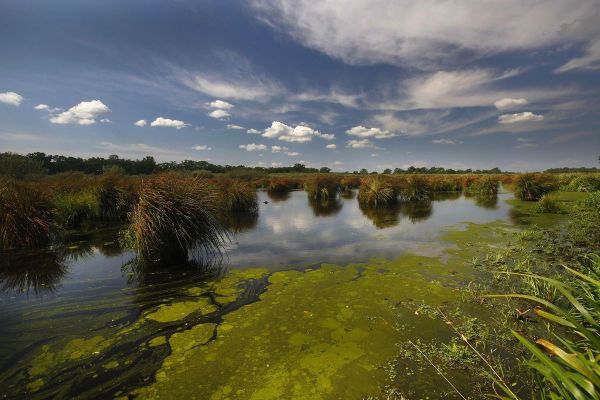 Bačko Podunavlje novi UNESKO rezervat biosfere u Srbiji