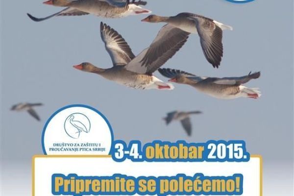 Evropski vikend posmatranja ptica – zadivljujuća seoba ptica