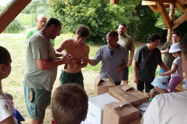 19 vetruški vraćeno u prirodu