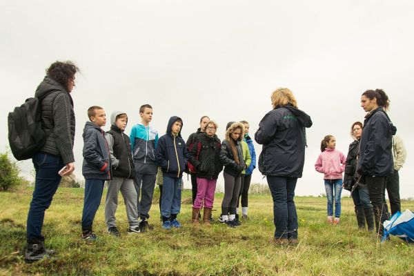 Revitalizacija staništa gorocveta kod Žablja