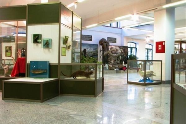 Prirodnjačka zbirka