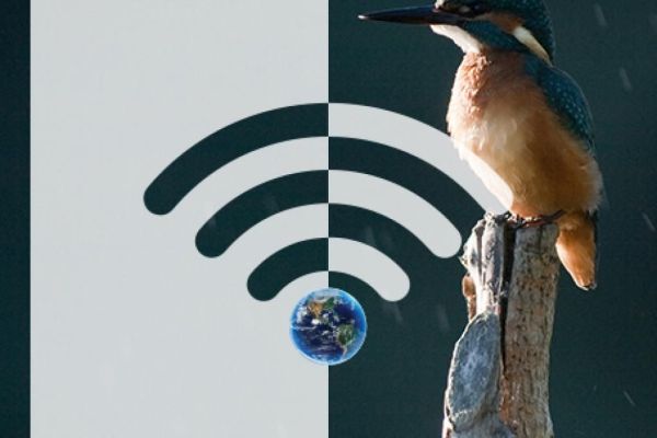 AKCIJA - SAT ZA NAŠU PLANETU