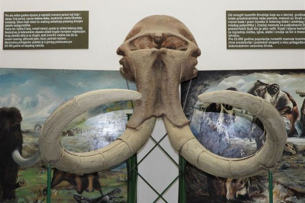 DEČIJA NEDELJA NA PRIRODNJAČKOJ IZLOŽBI PZZP