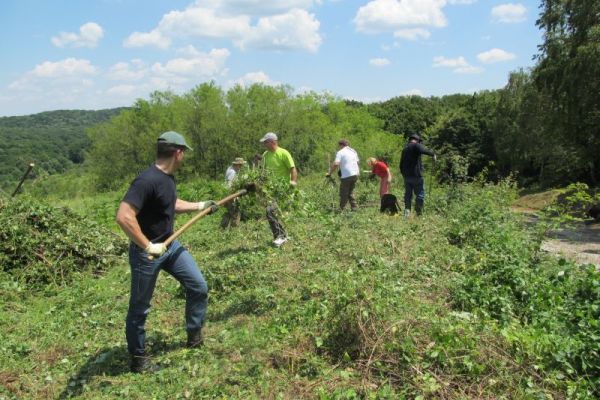 Radni dan za prirodu