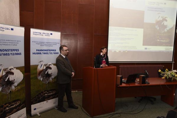Srbija i Mađarska zajedno u zaštiti velike droplje i stepske šarke