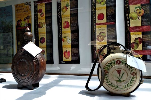 VOJVOĐANSKE VESTI SA GEOGRAFSKIM POREKLOM O IZLOŽBI U PZZP