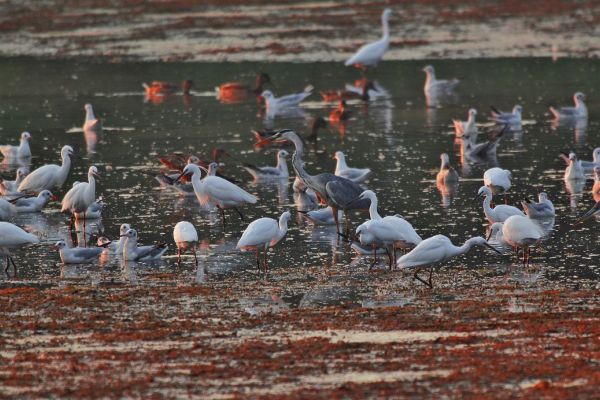 Prvi međunarodni dan Rezervata biosfere, 3. novembar 22.