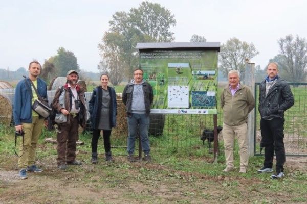 DEVETI ORNITOFESTIVAL U ŠAMCU