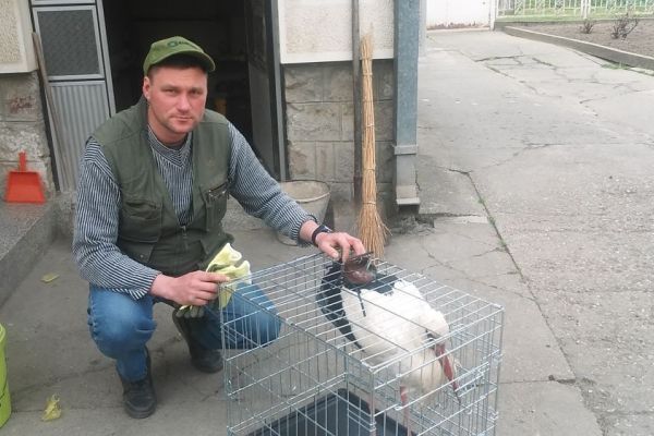 Od Opova do Bođana još  je dobrih Vojvođana*...