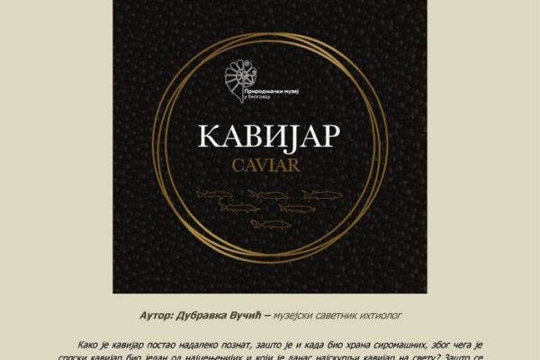 POZIV NA IZLOŽBU "KAVIJAR"