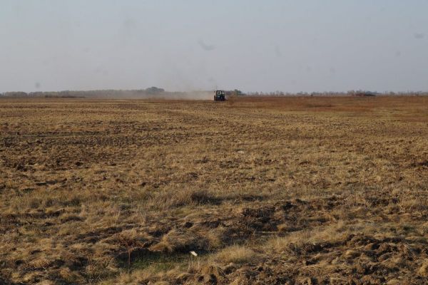 Uništio panonsku stepu, kažnjen sa 100.000 dinara