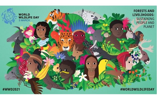 3. MART - SVETSKI DAN DIVLJIH VRSTA