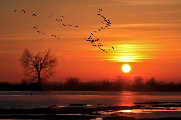 REZERVAT BIOSFERE „MURA-DRAVA-DUNAV“ U PET DRŽAVA UPISAN NA LISTU UNESKA