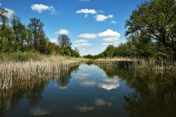 59. GODINA USPEŠNOG RADA POKRAJINSKOG ZAVODA