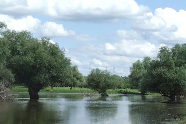 IZVEŠTAJ O IZVRŠENOM JAVNOM UVIDU I JAVNOJ RASPRAVI O PREDLOGU UREDBE O PROGLAŠENјU I STUDIJI ZAŠTITE PIO "ADE I ODSECI KOD SLANKAMENA"