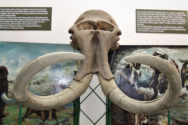 „DANI OTVORENIH VRATA“ NA PRIRODNJAČKOJ IZLOŽBI