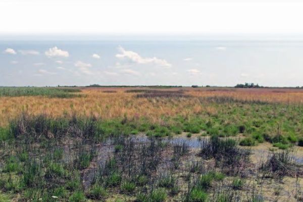 Javni uvid i Javna rasprava u Nacrt pokrajinske skupštinske odluke o zaštiti predela iuzetnih odlika „Slatine srednjeg Banata“ i Studiju zaštite predela izuzetnih odlika „Slatine srednjeg Banata“