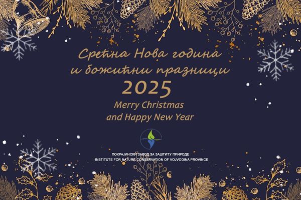 SREĆNA NOVA 2025. GODINA